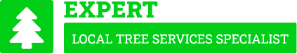 Hurstville Tree Removal - Tree Removal Sydney